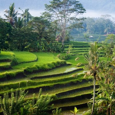 Sidemen: Where to Go in Bali for a Remote Stay