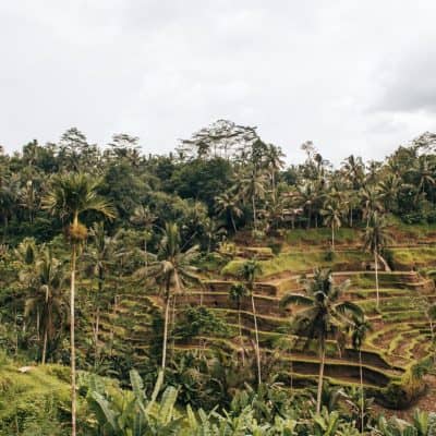 A Day Trip With Scooter From Ubud: Destinations & Route